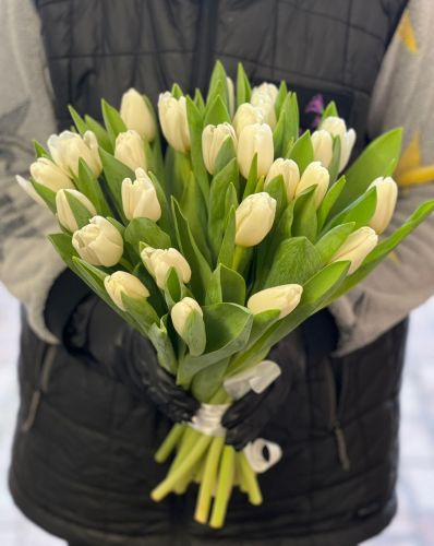 Букет белых тюльпанов "Силбер" заказать и купить в интернет-магазине с доставкой по Сочи